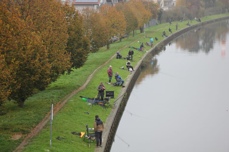 image1515414228284-AS_IMG-1357