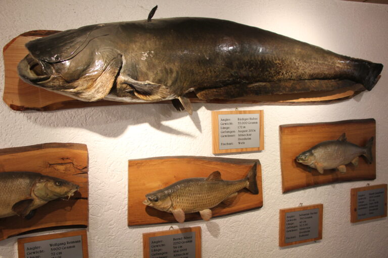 image2007205577446-AS_IMG-1997