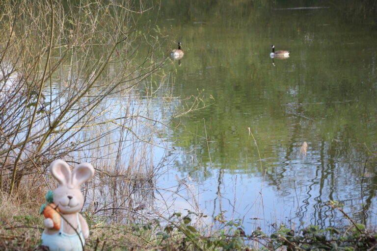 image1330445941767-AS_IMG-2088